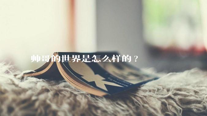 帅哥的世界是怎么样的?