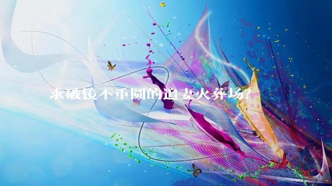 求破镜不重圆的追妻火葬场？