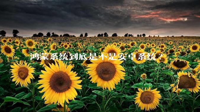鸿蒙系统到底是不是安卓系统?