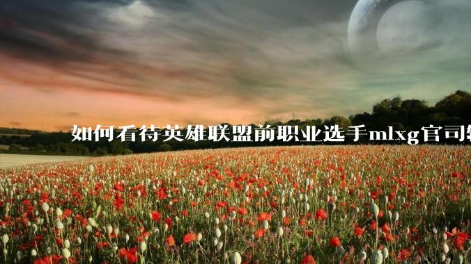 如何看待英雄联盟前职业选手mlxg官司输了，被强制执行2500w？